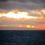 whale at sunset
